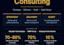 be your ai implementation consultant and project delivery consultant